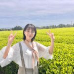 Honoka Matsumoto Instagram - ぴーす☺️✌️ #松本穂香 #おーいお茶