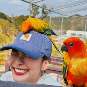 Hsing-Chen Yeh Instagram - 🪶
1. 🦜與⭐️
2. 20分鐘後吵到耳朵有點受不了
3. 好的，知道了
4. 本次兌換券已核銷
5. 白色羊駝與白色衣服的人
6. 🦩🦩🦩🦩🦩🦩
7.  羊駝美人
8. 海鹽烤焦糖豆花
9. 與南投的艷陽聯合舉辦
10. 永保安康 旅途愉快🫶🏼