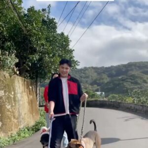 Huang Weiting Instagram - 新年是個給予愛的日子
我們很幸福地與家人跟朋友團聚
但也有人在幫忙照顧好多可愛的角色
能在一年之初，付出愛，是更能讓心靈富足的方法之一🫶🏻
-
佳見與薇渟
獨家與保鑣
來陪浪浪們過新年
加菜、還加愛☺️
-
大家知道我腦公 @_________mv_________ 雖然他已有一個寶貝女兒uni，但他還是對於狗狗有著極大愛心～
而我本人對於浪浪也很想盡量多盡一份心力～
因為我太喜歡貓狗兔子鳥馬豹獅子長頸鹿…（會不會太多？）
所以題外話有什麼浪浪或是公益，若有需要歡迎聯繫J裡。
-
想讓大家知道，狗園女主人，鄭媽媽是用她過去工作攢來的積蓄來照顧這麼多隻浪浪的～
這樣的支撐我無法用言語來形容～
我只覺得很偉大。
所以。希望大家可以伸出手，提供他們需要而你們也樂意的幫助予 #八里鄭媽媽狗園
-
這次過年這樣過
很有意義。
-
也很有幸我可以認識我心目中的王子，雙子座腦公
認識你即將第9年，有你陪著我去做這些事，真的很幸福唷🫶🏻