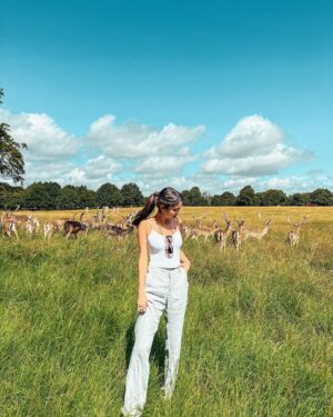 Ifigeneia Tzola Instagram - You can call me “Deer” 🦌♥️
Swipe right for those cuties 
.
.
#deer #dublin #animal #holidays #summer #2023 ☀️
