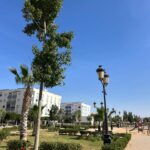 Iman Meskini Instagram – Morocco week 4 💛