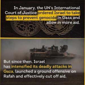 Iman Meskini Instagram - IsraHell has just bombed a refugee camp in Rafah, Gaza – killing more than 50 people, including babies and children!

Palestinians are now being burned alive, and we’ve all seen the video of a beheaded baby being held up in despair by the father… 

Until now, I have not been able to understand how people can choose to remain silent about what is happening in Gaza, but after today i don’t WANT to understand it, and I will never forgive it. 

And to you who HAVE been speaking up, I see you and I love you! Keep going!❤️✊🏽🇵🇸

We ALL need to do more and we need an immediate ceasefire NOW! 🍉 #freepalestine