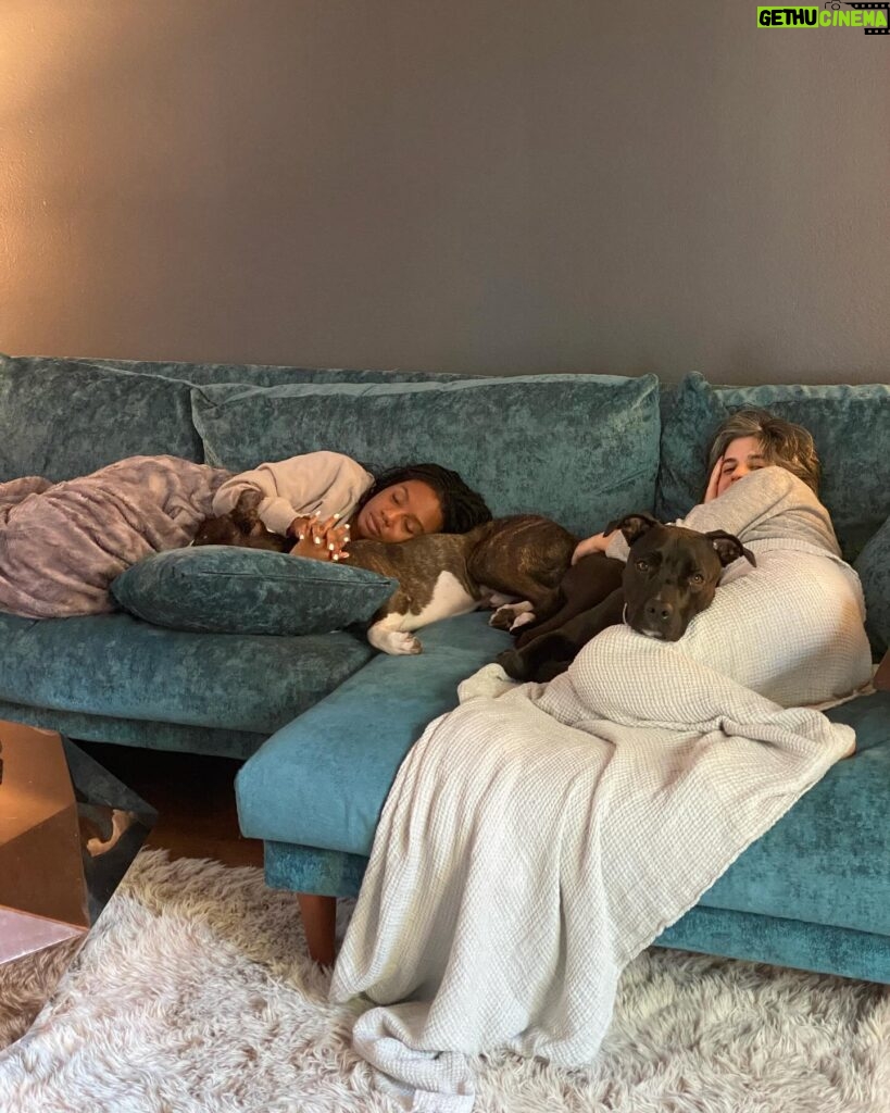 Imani Hakim Instagram - screamingggg happy 3rd birthday to our beautiful boy, Kobe. my bean, you bring so much joy and love into our lives every single day. so much so, it was completely IMPOSSIBLE to choose only 10 moments to share with the people— please enjoy our fur baby being an absolute stuuuud, okay?! kobe’s faves: a rally at the park— he’s not too shy to instigate playtime. boundaries. sometimes, he needs introvert time without me— though i don’t always agree. i have to respect it. food and snacks?! oh he bout to smash. being warm. he’s a california boy through in through— and definitely my son. there’s no sunshine… then what are we even talking abouuut?! and of course a good snuggle sesh, especially if a blanket and his favorite people are involved. love you sweet angel 🥹🥹😭