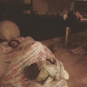 Imogen Heap Instagram - Look at this gorgeous girl! The other night, family Heap-Lebor were in the barn as I finished off filming with @michaellebor a talk/glove demo/quite cool little film for something that is no longer in person....and Scout ended up (and really enjoyed) falling asleep in there so much, that this evening, she asked me to move her bed into my studio. Falling asleep in different places appears to be her new thing during lockdown. Where next? The kitchen or in the bath perhaps? Gotta keep things fresh :) I hadn’t planned on being in the studio tonight but as it turned out, she showed me it was still possible, even all at home, together, to enjoy writing and working through the night. I found a lovely piano demo song idea I wrote in August about being so grateful I’d escaped death a few times to feel such happiness in motherhood. Looking at her this evening it felt perfect to vibe on. Fired up @endlesssfm and made some awesome bass line and half time/double time beats/vocals with it!!! Xx small wins xx sending the love xx