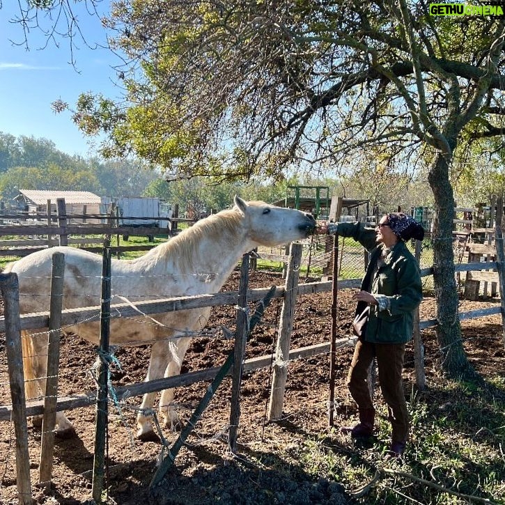 Inès de La Fressange Instagram - Country life #LaCampagneÇaVousGagne #Tarascon #Provence #ChacunSonBalmoral #ConversationDeVoisinage #horselove #photo #LucienLeuven #privatePhotographer