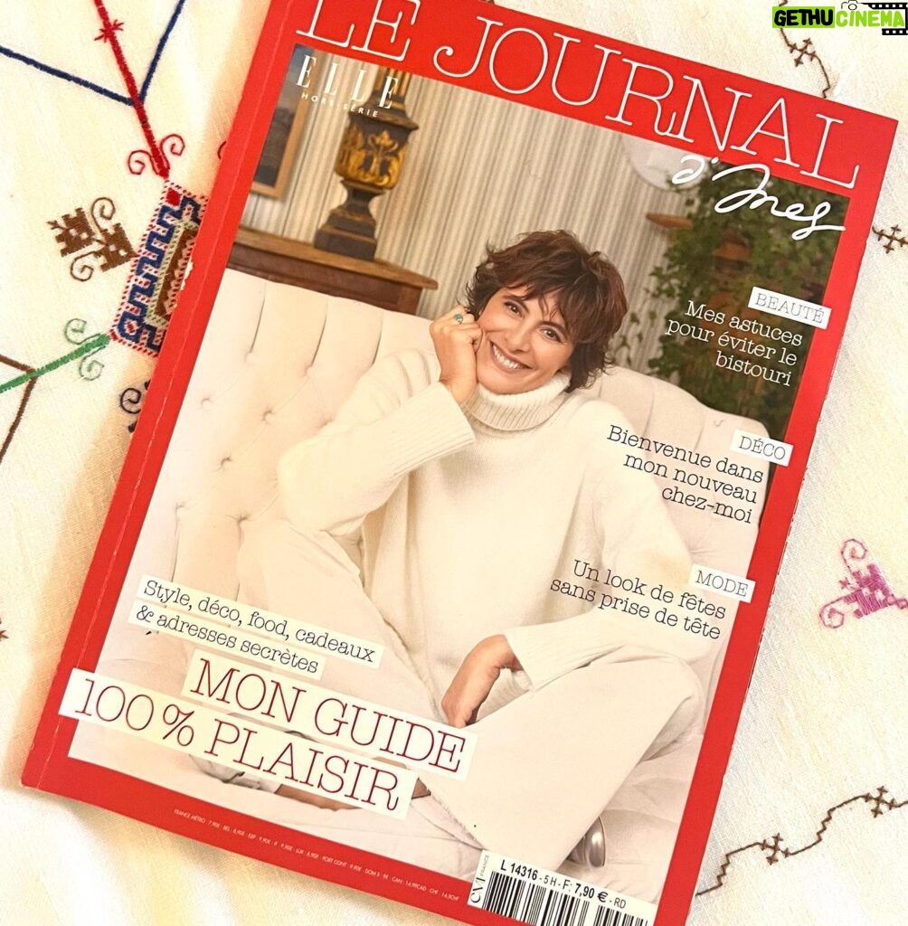 Inès de La Fressange Instagram - Ça sort aujourd’hui ! #lejournaldines #numero5 #jadorecenumero #autopub #magazine #fashion #deco #food #cadeaux #pleindetrucs fait avec @sophiegachet #theoneandonly