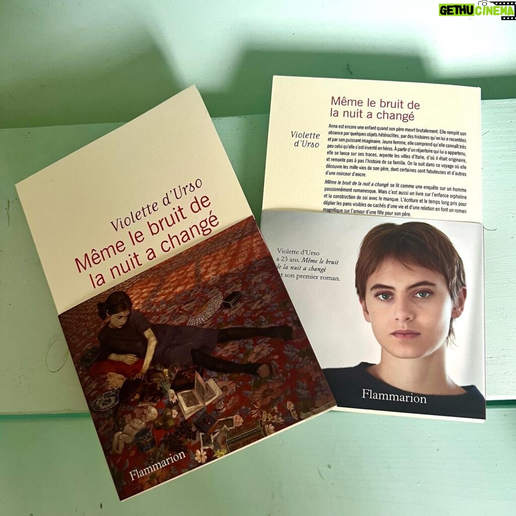 Inès de La Fressange Instagram - Aujourd’hui sort le roman de @violettedurso «  Même le bruit de la nuit a changé » aujourd’hui même le bruit du jour va changer car une écrivaine est née . Je suis émue et épatée. @flammarionlivres