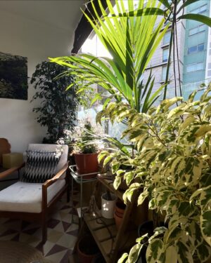 Inês Castel-Branco Instagram - Uma pequena coleção de coisas boas.