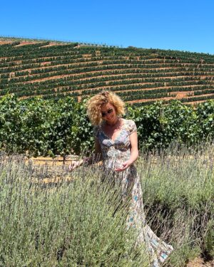 İnci Türkay Instagram - All about wine🍷 #wineriesfranschhoek #wineriesstellenbosch #wineriessouthafrica