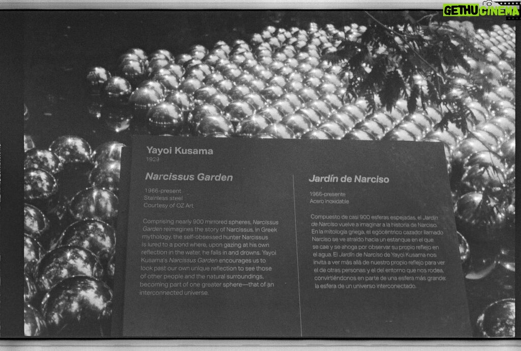 Inde Navarrette Instagram - B&W film by me, my favorite is the installation by Yahoo made in 1929! (last slide explains the meaning 🕊) @crystalbridgesmuseum