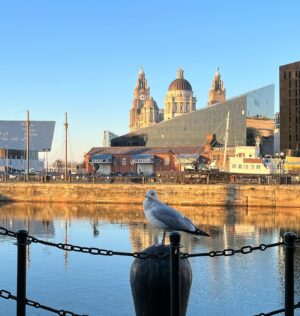 Indira Varma Instagram - Photo dump-
#liverpoolcity you have been SO good to us 
Such a great host city for our @macbeth_theshow 
You are beautiful and we will miss you …..