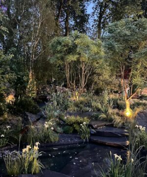 Indira Varma Instagram - @vanityfair X @thenewtinsomerset X @rhschelsea & #diptyque 
Evening of fun and flowers and far too much fizz….

Loved the @wateraid garden designed by @tommasseyuk & Je Ahn @studioweave 
💦💙🩵💦
Shame about the rain but good for the flowers…. 🌺 

Thank you for my lovely dress
@katesinclair___ 
@emiliawickstead 
@manoloblahnik 
Earrings and ring @jimmychoo 
Bag @malonesouliers 

@telescope_agency