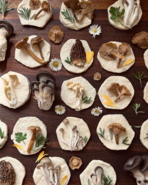 Indy Srinath Instagram - 🧺 some of you DM’d me for the recipe for these, but like any home cooked meal around these parts, there is no recipe! Yikes. All I can tell you is that the mushroom gravy that I topped these with is made of nutritional yeast, liquid aminos, mushrooms, garlic, onion, flour, and sage. 
The biscuits are a mysterious work in progress. Mostly flour and cold butter. 
One day I’ll write things down, but even then it’ll probably be on a crumpled, torn off piece of some other important document that will eventually make its way through the spin and rinse cycle, swirling forever in the pocket of a flour streaked denim jacket.
.
.
.
.
.
.
.
.
#wildfoodlove #morelmushrooms #mushroomcore #foragingfungi #fungi_fan_club #morelseason #mushroompicking #mushroomforaging