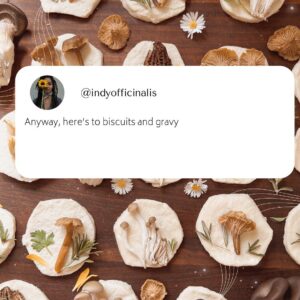 Indy Srinath Instagram - ☁️🤍Wild mushroom biscuits   gravy for our unhoused community today 
.
.
.
.
.
.
.
#wildmushroomforaging #wildfoodlove #mutualaid #fungilover #mushroomcore #foragedfood #mushroomforaging #fungi_fan_club #forage #morelmushrooms