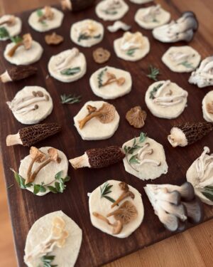 Indy Srinath Instagram - 🧺 some of you DM’d me for the recipe for these, but like any home cooked meal around these parts, there is no recipe! Yikes. All I can tell you is that the mushroom gravy that I topped these with is made of nutritional yeast, liquid aminos, mushrooms, garlic, onion, flour, and sage. 
The biscuits are a mysterious work in progress. Mostly flour and cold butter. 
One day I’ll write things down, but even then it’ll probably be on a crumpled, torn off piece of some other important document that will eventually make its way through the spin and rinse cycle, swirling forever in the pocket of a flour streaked denim jacket.
.
.
.
.
.
.
.
.
#wildfoodlove #morelmushrooms #mushroomcore #foragingfungi #fungi_fan_club #morelseason #mushroompicking #mushroomforaging