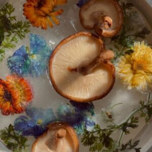 Indy Srinath Instagram - 〰️Would you rather:
Only be allowed to consume soups/stews/broths/chowders for the rest of the year (but they’re nourishing and randomly appear warm in your windowsill with a little steam cloud shaped like a hand that beckons you nearer) 
✨or✨
Only be able to eat rice bowls but they’re made by a hipster in Silverlake and are usually something fun themed like “deconstructed thanksgiving fusion” but you have to go pick them up weekly from a farmers market .5 miles away but at least you get go masticate (unlike the soup situation) ?
Also we here’s some photos that make me happy.
.
.
.

.
.
#foodstagram #wildfoodlove #foragedfood #slowfood