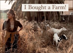 Indy Srinath Instagram - 👩🏾‍🌾✨ WE DID IT ✨
After a full two years of searching, researching, hoping,resting, working, sweating, and intention setting: the community urban farm is here!
Here’s the lowdown:
🌱it’s located in my neighborhood, the historically black part of LA: Leimert Park. Also, Chumash   Tongva Territory.
🌱right now it’s a blank canvas! Raw land that is being happily cleared by my goat friends from @venturabrushgoats 
🌱I’m clearing around 1200 sq feet right now, and working with LA Land Trust   The Community Garden Council to secure the adjacent lots for farming!
🌱The land cost 130k, and through your donations totaling to over 40k, creating sponsored content in alignment with my voice   intention as an artist and grower I was able purchase this plot (shoutout to eating rice and beans though)
🌱I can’t wait to begin bringing volunteers onto the land, but for now I’m letting the goats do their thing. And letting the soil rest. 
Thank you endlessly for all your support throughout the process. Specifically my @imgmodels fam, my @origins team, my @natgeotv fam,my real estate agent @garrettwarrenofficial , all of you who gave 5 & 10 dollar donations because you want to see the dream through, all of you who were able to redistribute your abundance, and of course to my black and brown community who dreamed this into existence.
I can’t wait to share more about the process & the future of this urban farm space, so for now,
Ask any questions below!
💕💕
.
.
.
.
.
.
.
.
.
.
.
.
.
.
#blackgirlmagic #amplifymelanatedvoices #amplifyblackvoices #blackfarmers #urbanfarming #permaculture #growyourownfood #growfoodnotlawns #herbalism #incredibleediblefarm #gardeninspiration