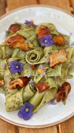 Indy Srinath Instagram - When I text you 🌳📞 it means the forest is calling and I must go 🏃🏾‍♀️
Vegan “Lobster” Pasta ft the biggest juiciest lobster mushrooms ( hypomyces lactifluorum) that I’ve ever found!
If you’ve never tried lobster mushrooms before then what are you doing?! Run into the woods and eat some now!
Jk. Grab a field guide and start to identify their habitat and characteristics them then run in the woods! 🤓 (ask me any questions you want about them below!)
They taste just like lobsters and look like lobster and smell like 🦞! Truly mind blowing. 
.
.
.
.
.
.
.
.
.
.
.
.
.
#mushroomlovers #foraging #foragedfood 
#reelitfeelit #fyp #viralreels #fungilover #wildfoodlove #foragedfood #mushroomcore #funghi #lobstermushroom #hypomyceslactifluorum