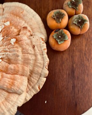 Indy Srinath Instagram - 🍯🍊 Hello, LA mushroom season.
I’ve been finding more chicken of the woods in urban areas than in my previous years of foraging.
Sry in advance for the upcoming mushroom photo spamming.
🙃
.
.
.
,
.
.
.
.
.
.
.
.
.
.
.
.
.
#foragedfood #urbanforaging #chickenofthewoods #fungilover #mushroomhunter #mushroomphotography #mycologymondays