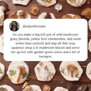 Indy Srinath Instagram - ☁️🤍Wild mushroom biscuits   gravy for our unhoused community today 
.
.
.
.
.
.
.
#wildmushroomforaging #wildfoodlove #mutualaid #fungilover #mushroomcore #foragedfood #mushroomforaging #fungi_fan_club #forage #morelmushrooms