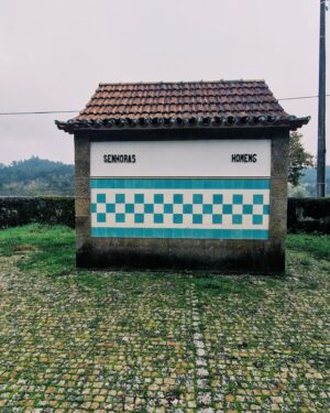 Inês Lopes Gonçalves Instagram - Dão: muito forte em vinho, comida, wallpapers e dores de rabo.