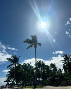 Inês Simões Instagram - Life lately 🤞🏼 #mauritius🇲🇺