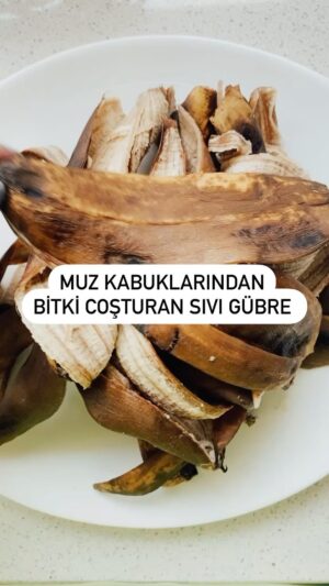 İpek Yaylacıoğlu Instagram - 