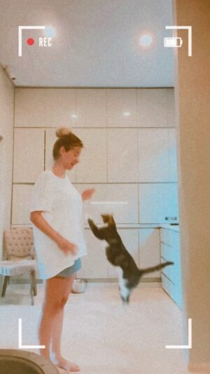 İpek Yaylacıoğlu Instagram - Seviyorum merkez 😍 #kedivideoları #catvideos #chèrie 🤍
