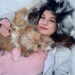 Irem Altug Instagram – Kar köpeği Loliş ile Uludağ’da aşk. Minnoşunuzla gelebileceğiniz çok minnoş bir tesis de bulduk @oksijenzonehotelsuludag ❤️😻 @birpaticetesi