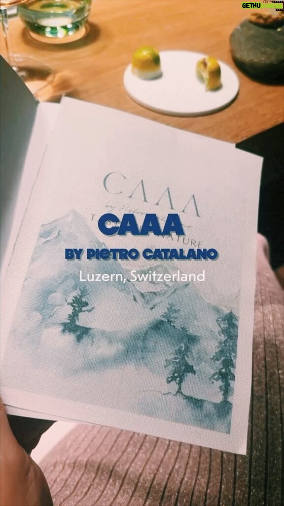 Irina Chesnokova Instagram - Heaven on Earth! @caaa_lucerne @officialcatalano @eleklim