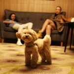 Irina Myagkova Instagram - Festival. Tolik. Vika.
