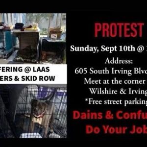 Iris Almario Instagram - If you’re in LA and you love animals, please meet me tomorrow and let’s stand up for these innocent beings. The shelter system has reached an all-time crisis. 

There’s an overflowing amount of animals at our shelters. 

Animals living in their feces.

There are dogs who haven’t been walked in weeks & even in 2 months!  Who wouldn’t lose it confined to a small space? To then be incorrectly listed as a behavioral case taking away the possibility of being adopted. 

How about the dog who had trouble breathing only to be found dead days later even though volunteers spoke up but no medical attention was given. 

You can see dogs doubled up in kennels & more dogs in crates that are lined up along hallways. 

Dogs being put down because there just isn’t enough space. 

Volunteers being let go for speaking up because they want to do right by the dogs. 

Where is all the money going? @mayorofla & @laanimalservices we will not look the other way. GM @stayceedains what are you doing to improve things? And to the people who  owner surrender their pet, the shelter is “not a safe re-homing facility.” 

So my people in LA who love animals I hope to see you guys tomorrow. Let’s make some noise! 📢💜 🐾  #VoiceForTheVoiceless #CompassionForAnimals #laanimalservices #TimeForChange

#SpeakUp #protest #AnimalActivism #rescueanimals #adoptsavealife  #TogetherWeCanMakeADifference #lovedogs🐶 #rescuedogsofig