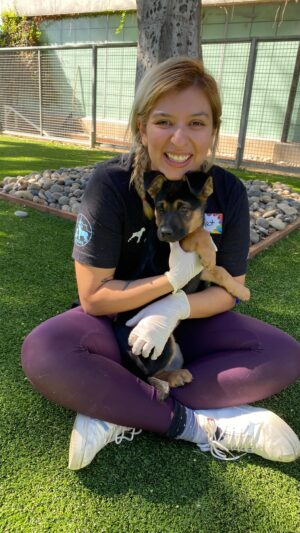Iris Almario Instagram - November 28 is Giving Tuesday. In lieu of donations we are asking for volunteers to join us at East Valley Shelter. There are lots of animals and not enough staff. Join us in giving these sweet dogs some TLC & help make their space more comfortable. For more details please send us an email to volunteer@wufaw.org We would love to see you there. 🐾 💜 #givingtuesday #volunteersneeded 

#wufaw #laanimalservices #eastvalleyshelter #givebacktuesday #whattodoinla #lovedogsforever