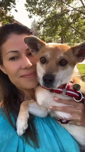 Iris Almario Instagram - ⁣Less then 24 hours ago sweet Coke/Coco arrived in Los Angeles. He was rescued by @zer0_dog_ from a dog farm in Korea where they use dog meat in their elixirs to make wellness herbal tonics. 🤯 ⠀
⠀
We’re happy he’s here. Koko & Coco became instant friends. 🐾🐾 He’s staying with us until he starts his foster to adopt trial. ⠀
⠀
Here’s to second chances little guy! 💜 #dogmeatsurvivor 
⠀
@joeyandbailey @wufaw_official ⠀
⠀
Audio: From Original Sound Popmuzik101⠀
Bruce Hornsby & The Range – The Way It Is⠀
⠀
#wufaw #adoptarescue #koreandogs #rescuesofinstagram #fosteringsaveslives #adoptsavealife #lovedogs #adoptdontshop🐾 #secondchances