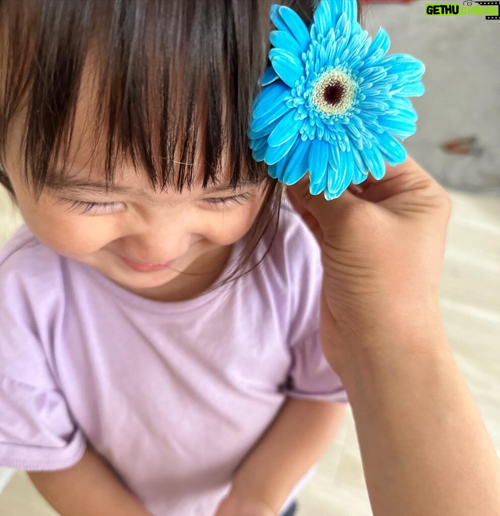 Iroha Yanagi Instagram - ・ お花が好きなんだって。 ママに似たのかな？ お母さんにしてくれてありがとう💗 #3歳児によく間違えられるけどまだ１歳 #背高め女子 #お花好き #お花のある暮らし #女の子ママ #令和3年8月ベビー #令和3年ベビー #1歳9ヶ月 #女の子コーデ