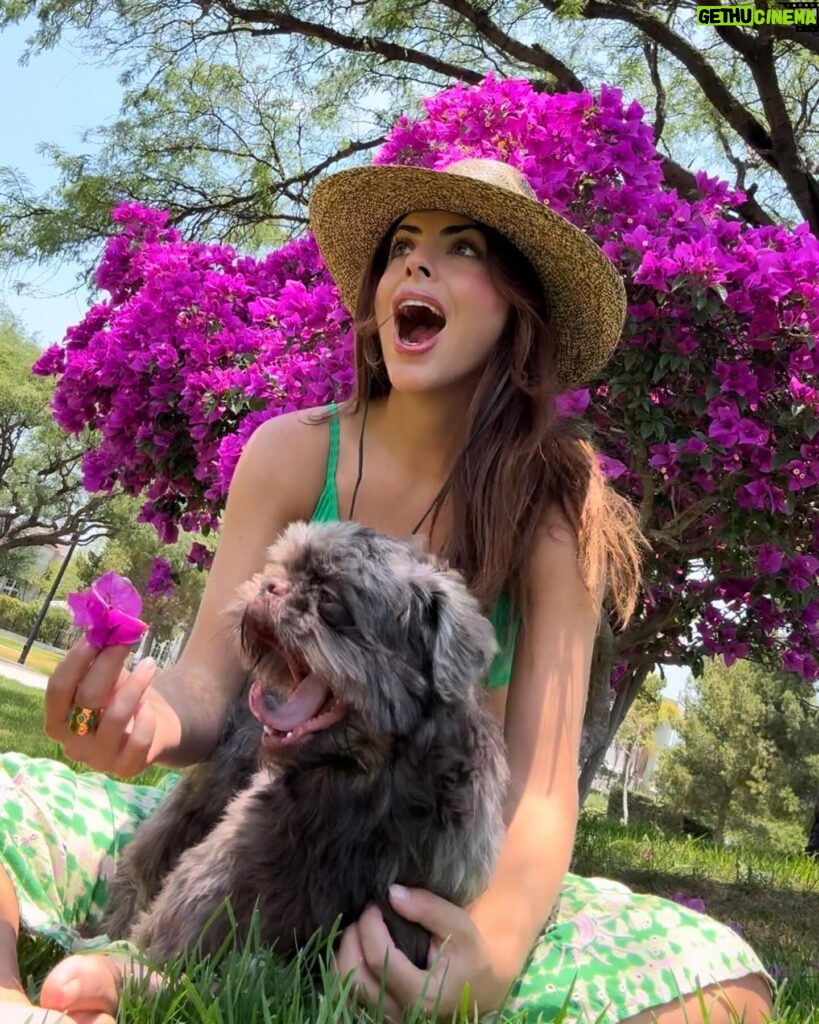 Isabel Burr Instagram - Un día con @maaji , Santi y un sombrero 🍀