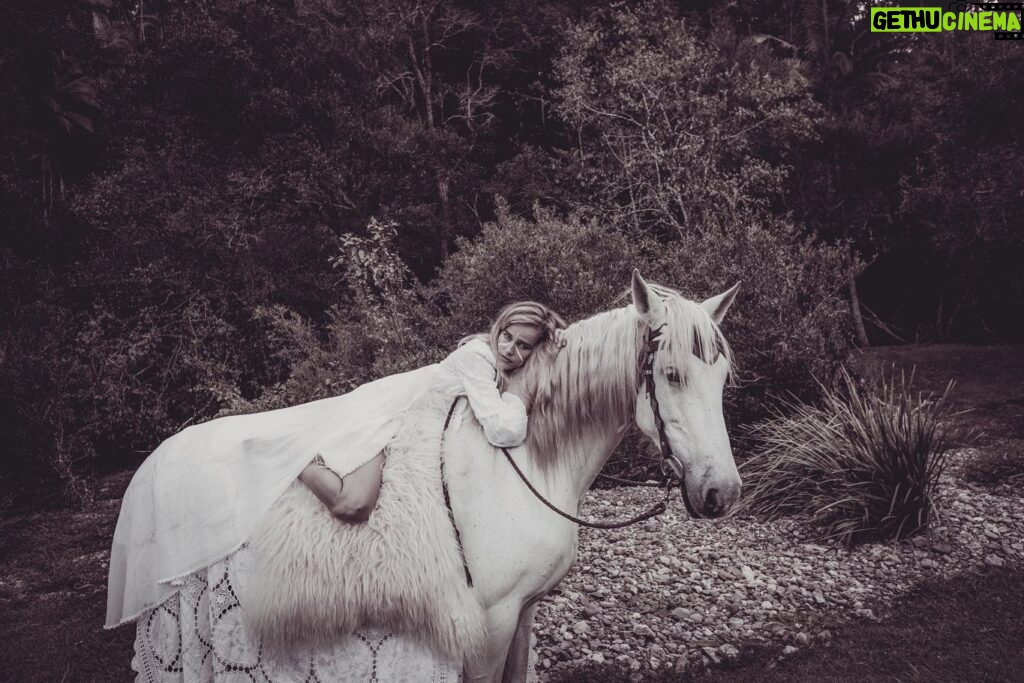 Isabel Lucas Instagram - My sister and I watched an unreal amount of horse movies growing up. All the classics; National Velvet, The Silver Brumby, The horse Whisperer, The Black Stallion, Pharlap, Spirit, The Man From Snowy River, the list goes on. I’ve been following the powerful work of @kindfarmhorserescue. They’re a small, local (to me) organisation that re-homes horses in risk of slaughter, like older mistreated horses and ex-racehorses. It’s moving to witness the evolution and healing, the light returning in their eyes and even their trust, playfulness restored when they find their a safe and healthy home. It reminds me of another childhood film; Black Beauty. You can support them here @kindfarmhorserescue Pictures from a few years back by @arterium with horses from @theranchbyronbay for ‘Sisters of Substance'. Bless you @arterium #thekindfarm #horsehealing #healinghorses