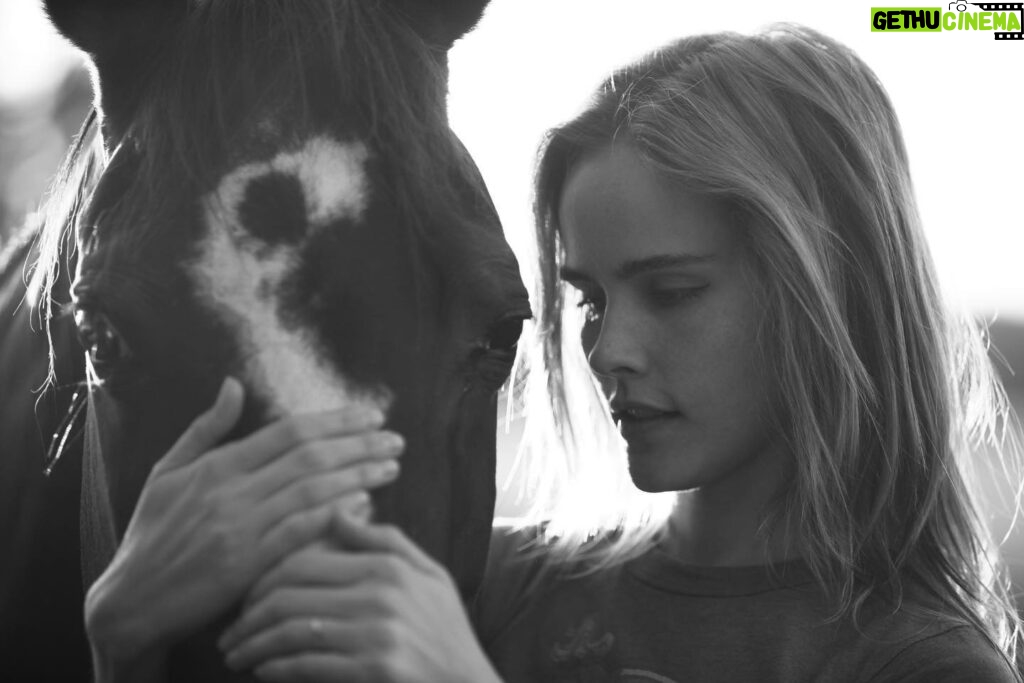 Isabel Lucas Instagram - my unicorn for 24 years you let me in my love, my peace and joy one of my truest friends and greatest teachers when you were here, you made the world feel softer forever my guardian angel missing you today Tiki ♾ 📷 @alicefoulcher