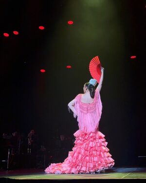 Isabel Pantoja Instagram - PUERTO RICO, 11 años después sigues emocionándome 🇵🇷🙏🏼❤️