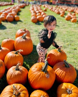 Iswarya Prabakar Instagram - Pumpkin season with my little munchkin 🎃🖤✨
•
#fallcolors #pumpkinpatch #kalki #ipk #11monthsold #cutiepieseries #pumpkin #fallseason #familygoals #iceicebaby #sundayfunday