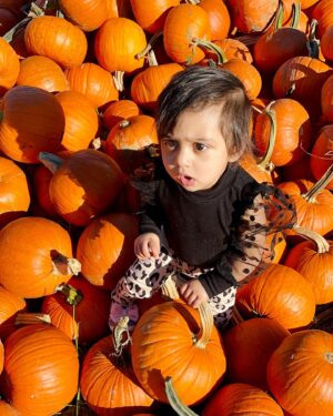Iswarya Prabakar Instagram - Pumpkin season with my little munchkin 🎃🖤✨
•
#fallcolors #pumpkinpatch #kalki #ipk #11monthsold #cutiepieseries #pumpkin #fallseason #familygoals #iceicebaby #sundayfunday