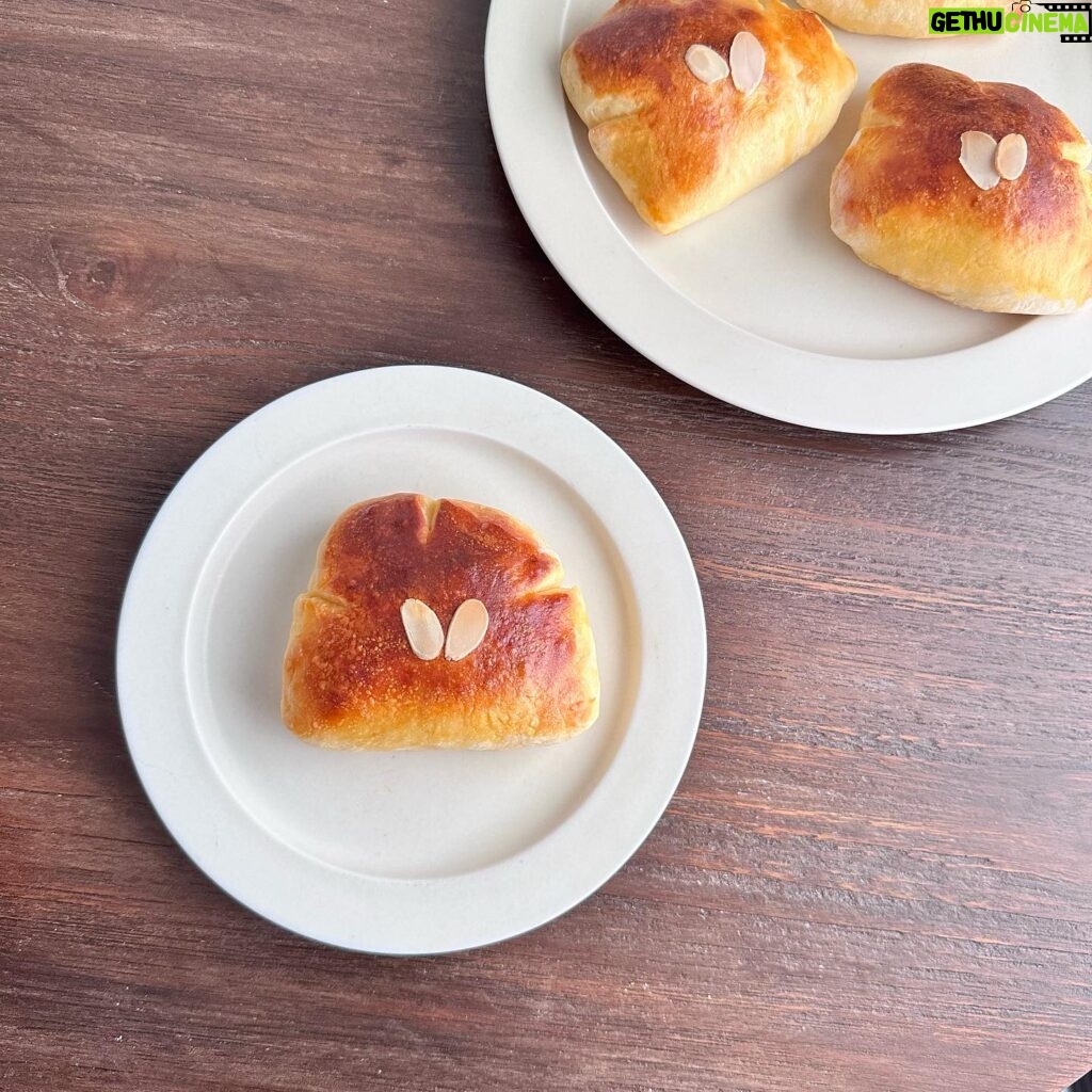 Ito Ohno Instagram - クリームパン、作ってみました。 でも、やっぱりパン好きとしては、お店には勝てるわけもなく。パン作りもっと上手くなりたい😵‍💫 #クリームパン #手作りパン