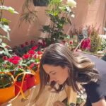 Ivana Baquero Instagram - Self-care is a must whenever I can scratch up a day to myself: I love starting my day with a matcha tea, followed by my skin and hair ritual and of course, a good old walk to get the heart pumping- love me an excuse to explore the nucks and crannies of my beautiful city, Barcelona 🌸💐 💕