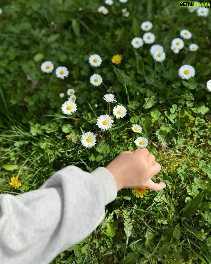 Ivana Surovcová Instagram - Útržky z posledných dní🌸 Voňavá JAR a jej spoznávanie 👧🏽👶🏼