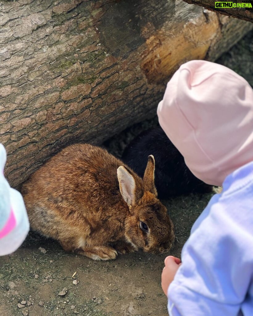 Ivana Surovcová Instagram - Na odporúčanie jednej z Vas sme dnes navštívili @okrasnerybnikyremata a musím povedať, že to bolo prenádherné. Kŕmenie zvieratok, skvelé preliezky a velmi chutné jedlo. 🫶🏻 Tak si podme vytvorit pod tento post viac takych odporucani pre nas vsetky a napiste do komentu, ktore miesto sa oplati navstivit s detmi🙏🏼 Nezabudnite si post ulozit a tak sa k nemu vzdy rychlo vratite🙃