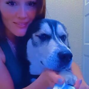 Ivelisse Vélez Instagram - Ares 🐶 reveals the winner🏅 of the TikTok Giveaway from last week 🎁😆 - Go follow me on TikTok ( sicariaiv ) to interact, enter giveaways, battles,    ✅️