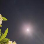 Ivonne Coll Instagram - This is it baby! The last full moon of 2023. Called the platinum moon because of something that happens with the positioning of our Planet and its Moon. Ah, I am not a scientist so don't quote me! Anyway, enjoy the magic of tonite.#fullmoon #tropicalisland#specialmoon#lifeisgood#blessingsofGod