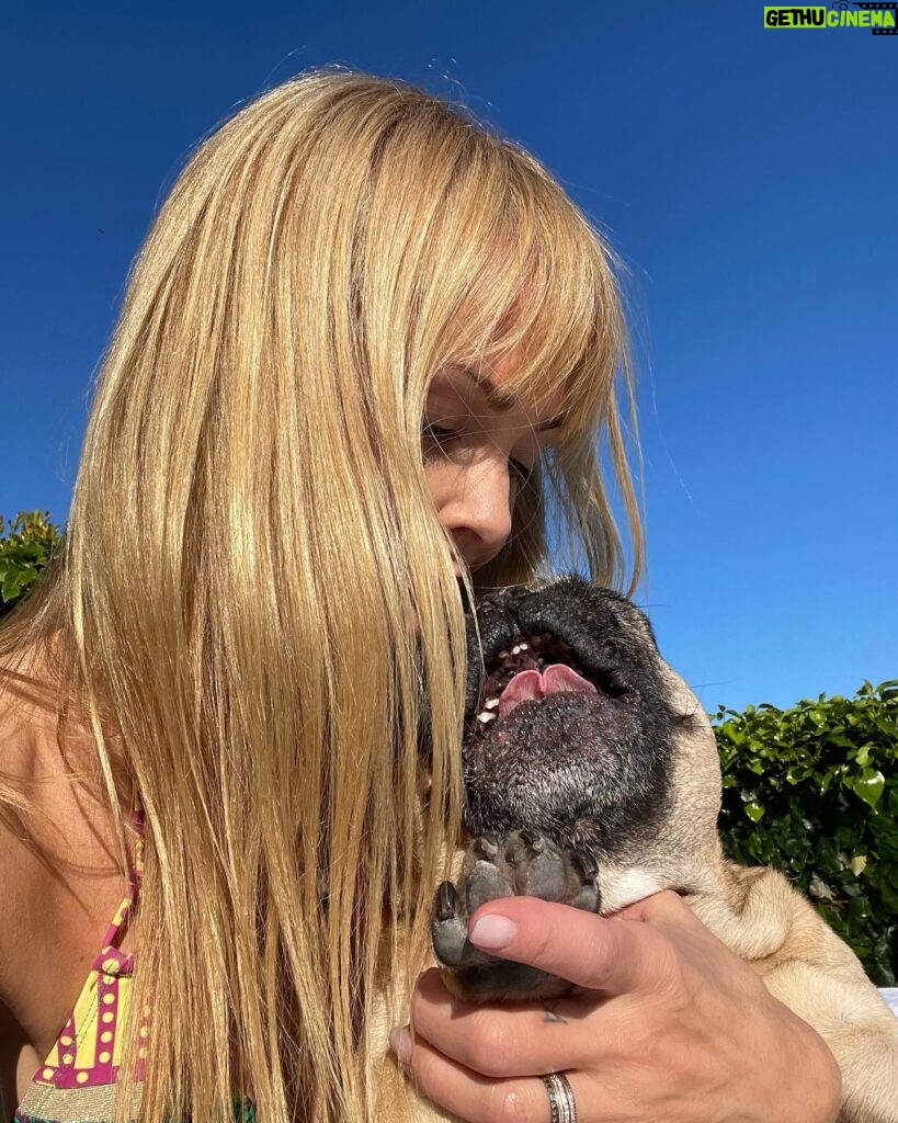 Izabella Scorupco Instagram - In dog therapy ❤️‍🩹