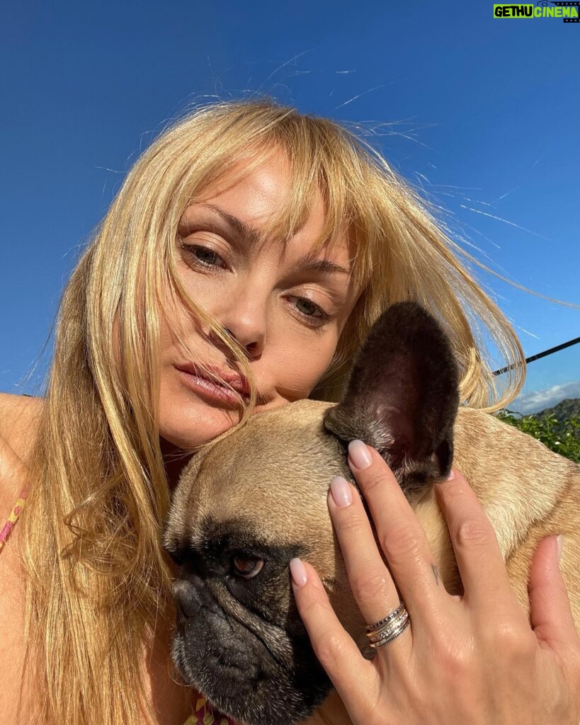 Izabella Scorupco Instagram - In dog therapy ❤️‍🩹