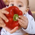 Júlia Belard Instagram - Quando o teu bebé quer comer tudo 🫑 🍌 🍎 🥭 , menos a sopa! Ah e o panda 🐼 com que o tentei enganar 😅😂